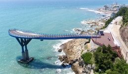 해운대 청사포 다릿돌 전망대 17일부터 개방