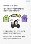 [카드뉴스]반려동물 태우는 펫택시가 논란에 휩싸인 이유