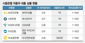 [Money & Money] 차량교체 한다면서…시중銀 車대출상품, 아직도 모르세요?