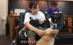[르포] 사고 예방이요? 계속 보는 수 밖에 없어요… 애견호텔 가보니