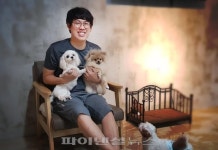 [르포] 사고 예방이요? 계속 보는 수 밖에 없어요… 애견호텔 가보니