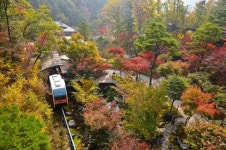 추석 나들이 어디갈까… 가족 모두가 좋아할 만한 #가족나들이 8선