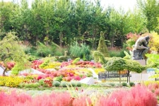 가을을 만끽할 수 있는 베어트리파크 수목원