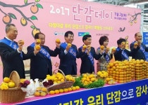농협, 다정다감 단감으로 감사의 마음을 전하세요