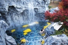 설악 워터피아, 수능 수험생 무료 입장