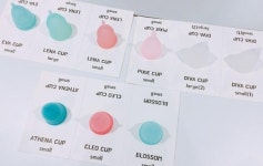 이지앤모어 월경컵, 국내 최초 생리컵 식약처 허가 획득