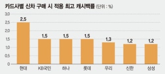 카드사 車금융 캐시백 제살깎기 경쟁