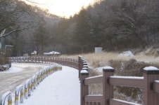 [포토뉴스] 눈 덮인 의왕 청계산 맑은숲공원 힐링효과↑ 