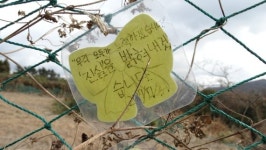 [yes+ 레저]  제주4·3 상흔 ‘빼곡’…아파도 소중한 역사