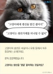 [카드뉴스]고양이는 생선에 사족을 못쓴다? 노놉!