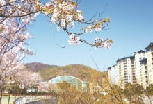 곤지암리조트 봄봄봄 객실 패키지