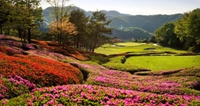 오크밸리 리조트, 골퍼들을 위한 봄나들이 핫플레이스