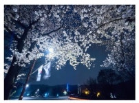 국립서울현충원 2018 현충원, 호국의 봄을 열다 행사 개최