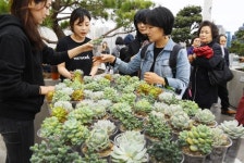 서울로 7017 식목 주간 행사