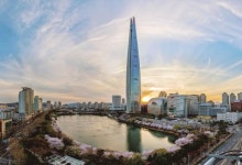 롯데월드타워, 석촌호수 벚꽃축제 맞아 체리 블라썸 마켓 연다 
