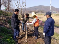남양주시민 왕숙천변에 꿈나무 심다 