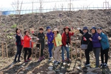 남양주시민 왕숙천변에 꿈나무 심다 