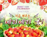 제철 맞은 제주 딸기 베리 베리 굿 이벤트