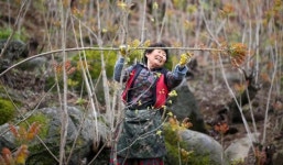 지리산 옻순축제 열린다