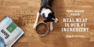 [간밤뉴스]아마존, 자체 펫브랜드 왜그 출시