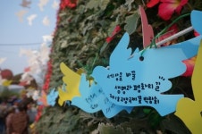 [포토뉴스] 2018고양국제꽃박람회-사랑과 평화 ‘충만’