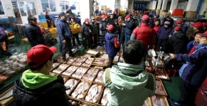 [fn+ 제주의 포구①] 제주인의 삶 그 자체이자 역사의 시원