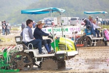 벼 직파재배 확대로 농업 경쟁력 높인다