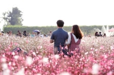 양주시 ‘양주천일홍축제 버스킹’ 공연팀 공모