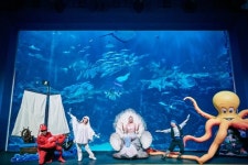 아쿠아플라넷 일산, ‘꼬마 선장의 모험’ 신규 공연