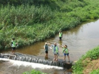 포천시 왕숙천-추동천 다슬기 방류…왜? 