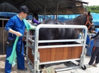 “승용마 번식, 경기도 축산진흥센터가 찾아갑니다”