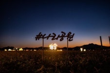 우리는 15일 양주시 ‘천일홍 바다’로 간다
