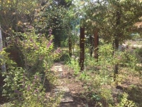 국립수목원, ‘맛있는 숲 정원’ 동탄 신도시에 조성