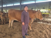 제주 슈퍼한우 탄생… 생체 무게 1.23t