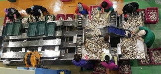 제주 한림수협 ‘품질위생형 수산물 위판장’ 전국 첫 선