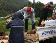 빗속, 사랑의 땔감 나르는 춘천국유림관리소 사람들