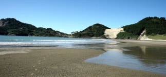 전남도, 무안 탄도·신안 우이도 가고 싶은 섬으로 개발