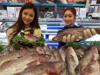 롯데마트, 찬바람 불자 탕거리 수산물 잘나가네