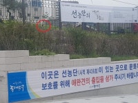 문화재인데 개판 됐죠...애견 똥오줌에 몸살