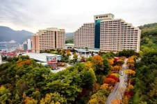 대명리조트 단양, 배낭여행객 위한 ‘백팩 게스트하우스’ 객실 운영