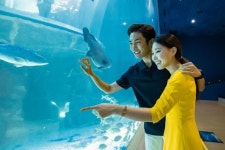 한화 아쿠아플라넷, 빼빼로데이 맞아 ‘1과 함께’ 이벤트