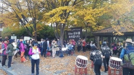 [포토뉴스] 고양바람 평화누리길 수놓다