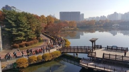 [포토뉴스] 고양바람 평화누리길 수놓다