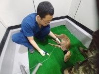 경기도 ‘야생동물 보전 인프라’ 연천에 구축