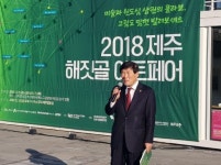 [fn포토] 제주시 원도심에 그림을 그리다 해짓골아트페어 개막