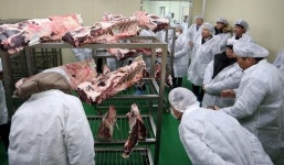 홍천한우사랑말 드라이에이징 가공센터 준공...숙성한우 본격 생산