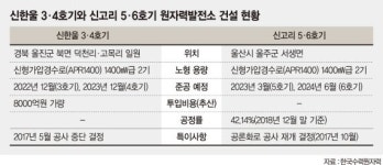 신한울 3·4호기 논란 ..출구 안 보이는 탈원전 갈등