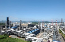 SK 노사가 준 ‘행복 에너지’… 상생 통한 ‘사회적 가치’ 키워