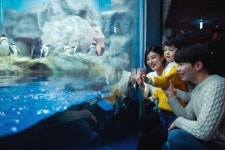 한화 아쿠아플라넷, 봄방학 맞아 다양한 패키지