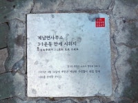 ‘3.1운동 100년’ 부천 뜨겁고 다채롭게 기린다